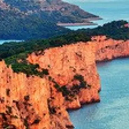 Porat Sali
